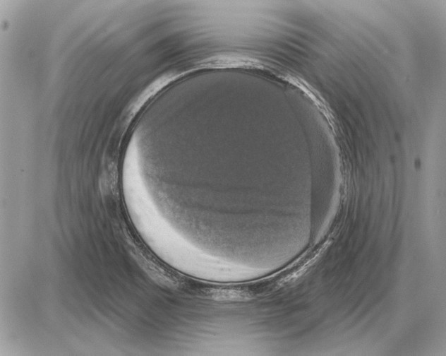 X0000085771465200704131751