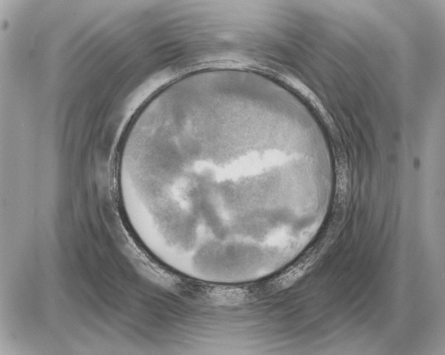 X0000085771466200704131751