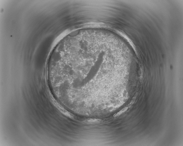 X0000085771467200704131751