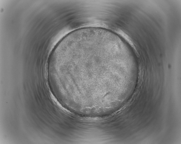 X0000085771468200704131751