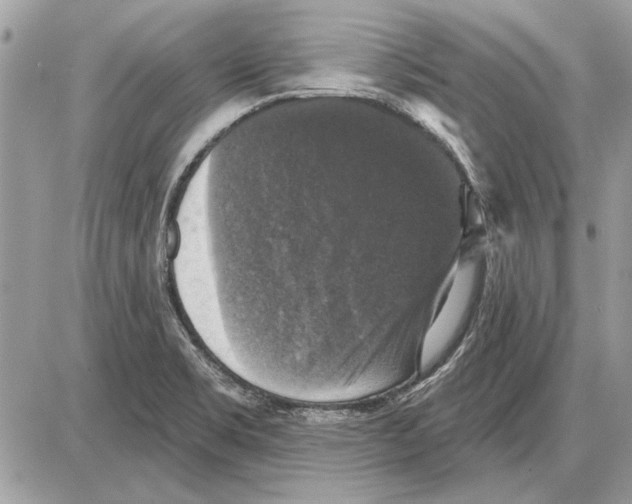 X0000085771469200704131751