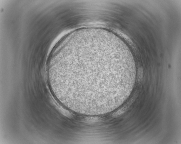 X0000085771470200704131751