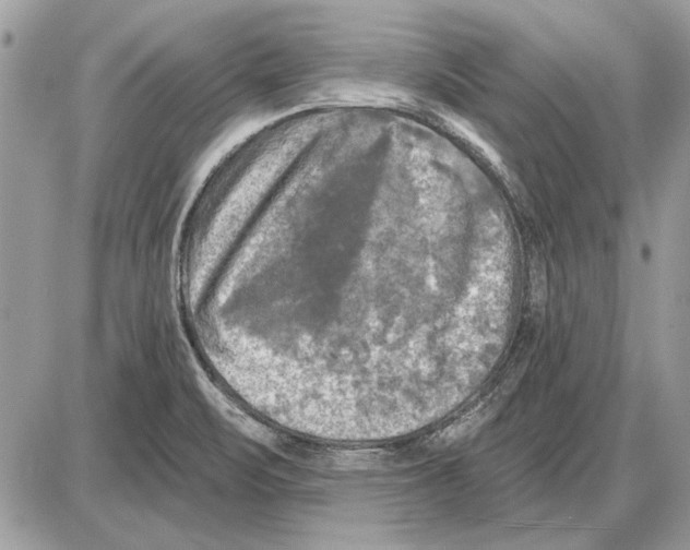 X0000085771471200704131751