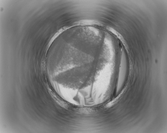 X0000085771473200704131751