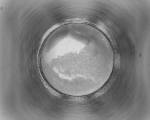 X0000085771474200704131751