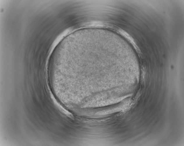 X0000085771475200704131751