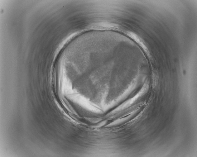 X0000085771477200704131751