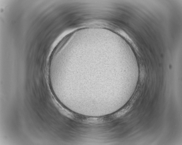 X0000085771478200704131751