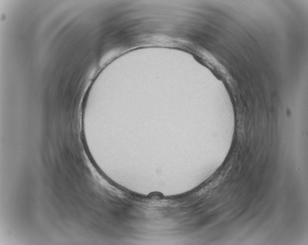 X0000085771479200704131751