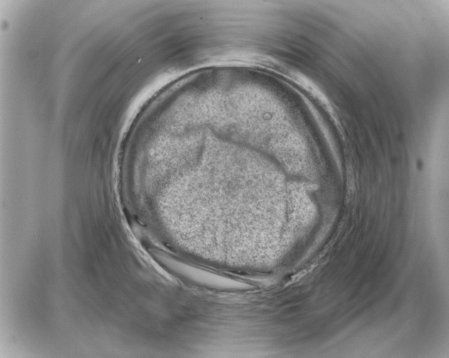 X0000085771480200704131751