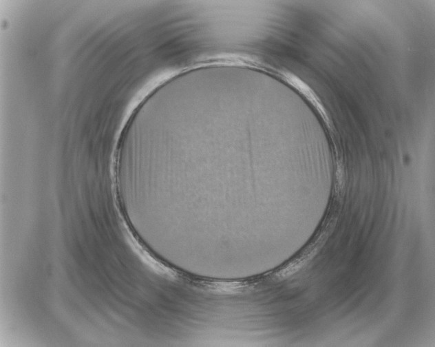 X0000085771482200704131751