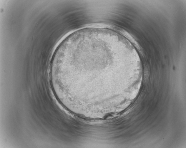 X0000085771484200704131751