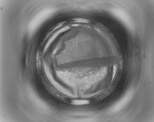 X0000085771487200704131750