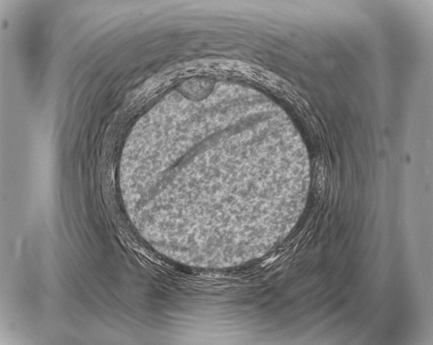 X0000085771489200704131750