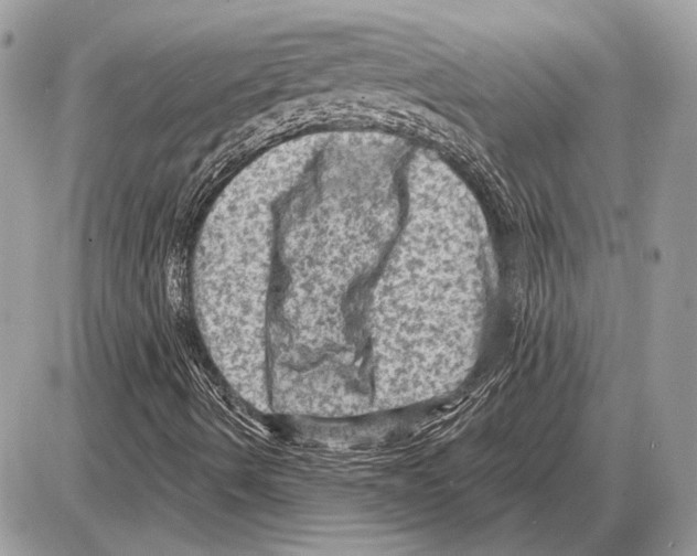 X0000085771490200704131750