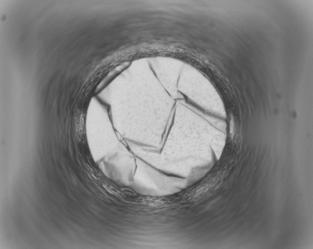 X0000085771492200704131750