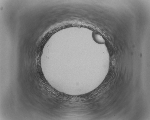 X0000085771495200704131750