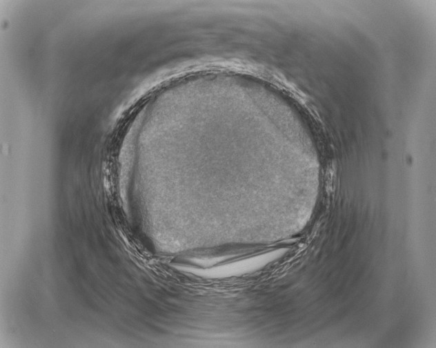 X0000085771496200704131750