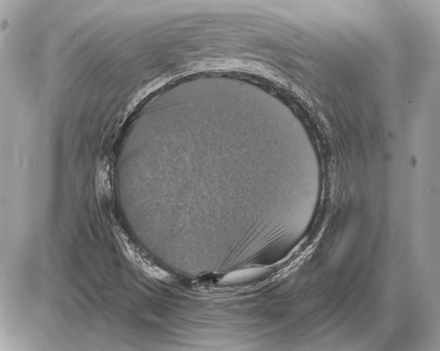 X0000085771497200704131750