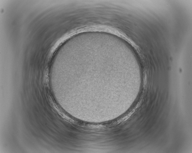 X0000085771498200704131750