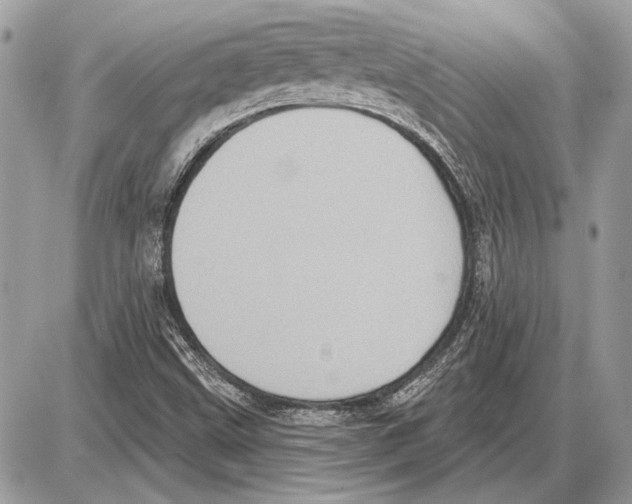 X0000085771499200704131750