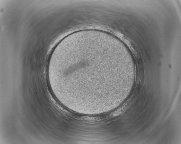 X0000085771500200704131750