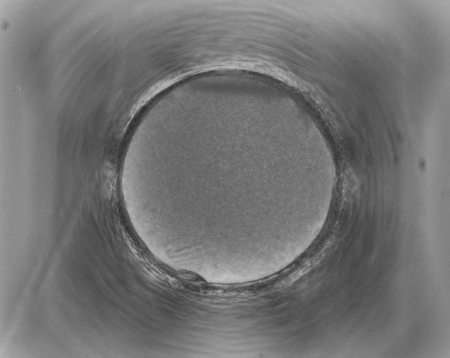 X0000085771505200704131750