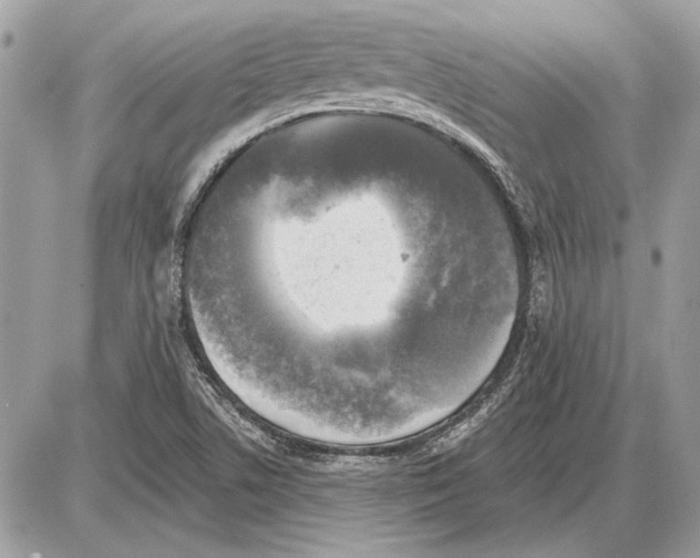 X0000085771506200704131750