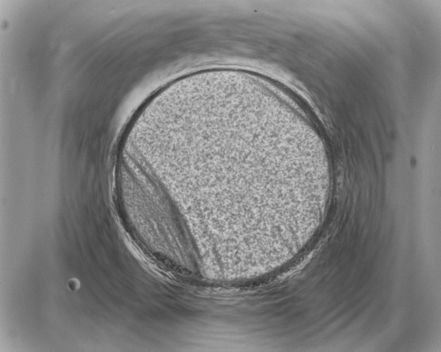 X0000085771511200704131750