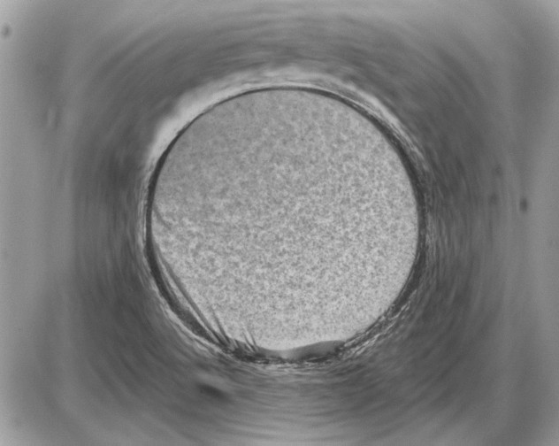 X0000085771512200704131750