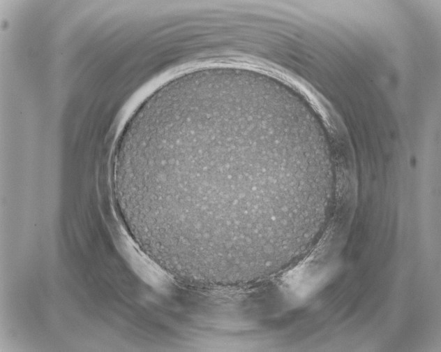 X0000085771514200704131750