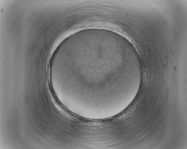 X0000085771515200704131750