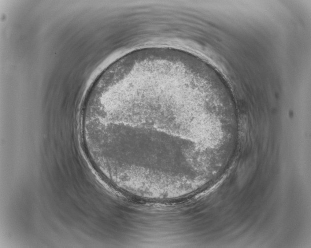 X0000085771517200704131750