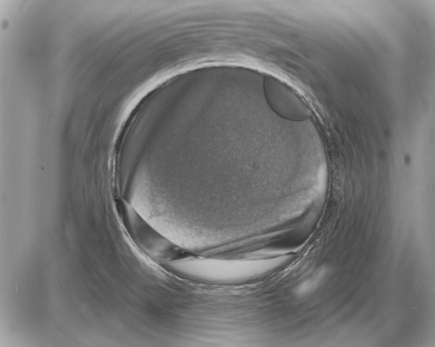 X0000085771519200704131750