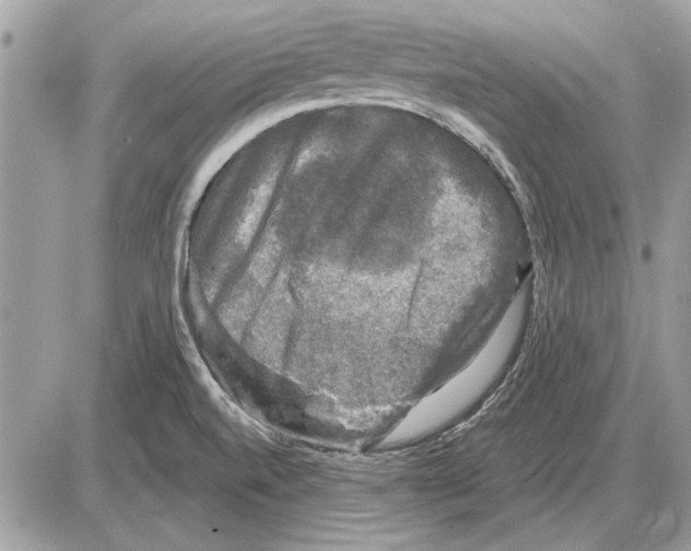 X0000085771520200704131750