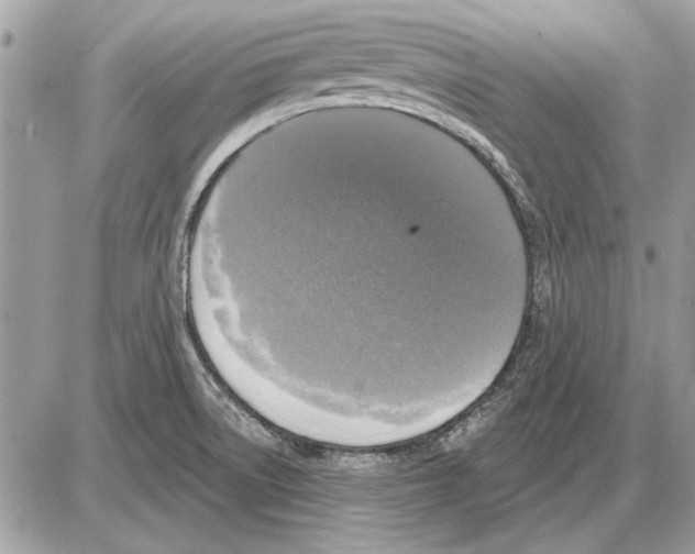 X0000085771522200704131750