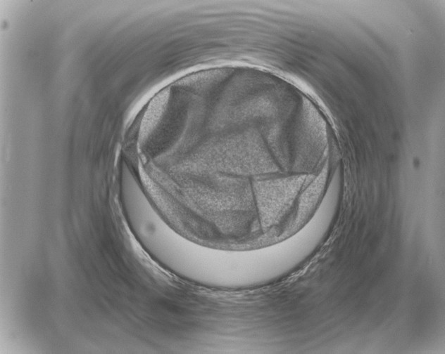 X0000085771524200704131750