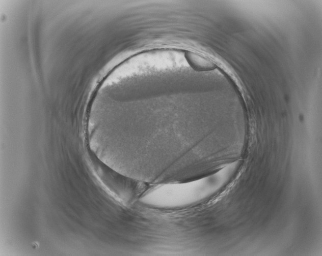 X0000085771525200704131750