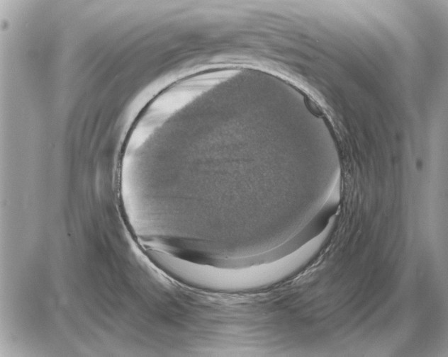 X0000085771527200704131750