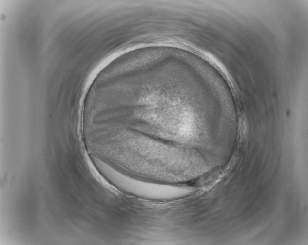 X0000085771528200704131750