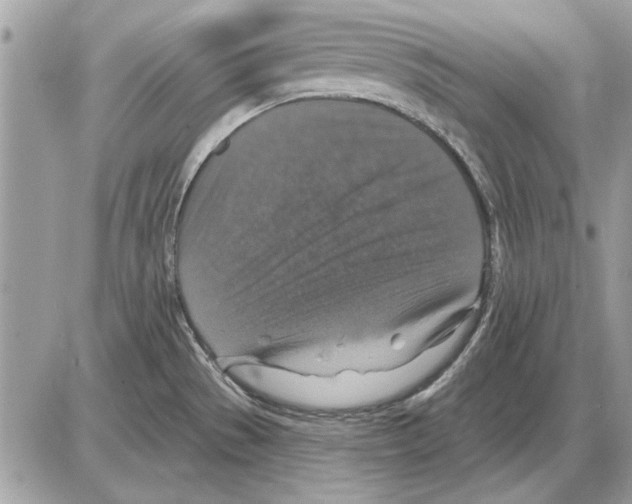 X0000085771529200704131750