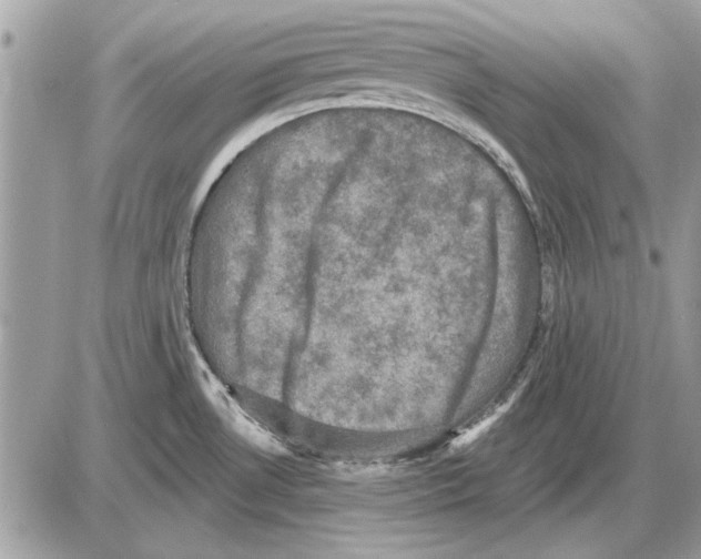 X0000085771530200704131750