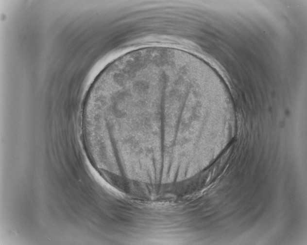 X0000085771531200704131750