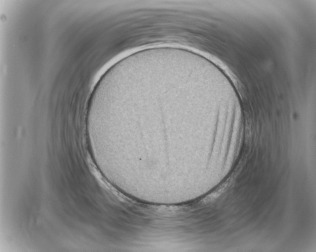 X0000085771534200704131750