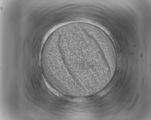 X0000085771535200704131750