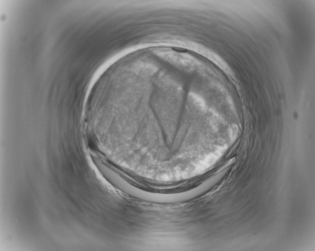 X0000085771536200704131750