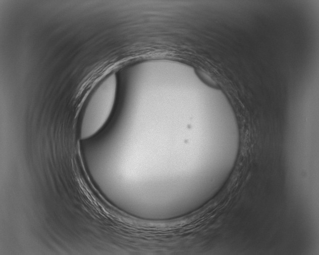 X0000085780002200703161012