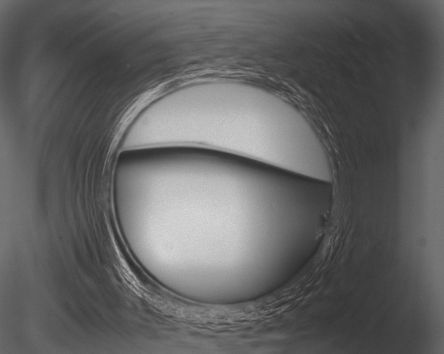 X0000085780003200703161012