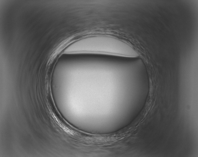 X0000085780005200703161012