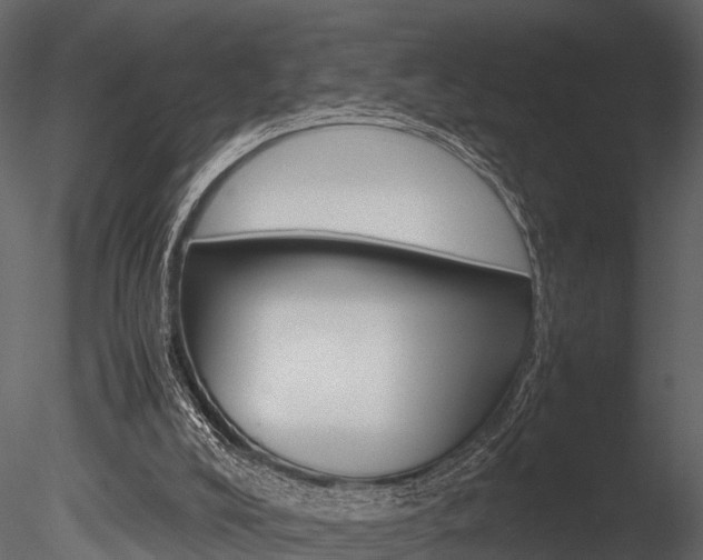 X0000085780008200703161012